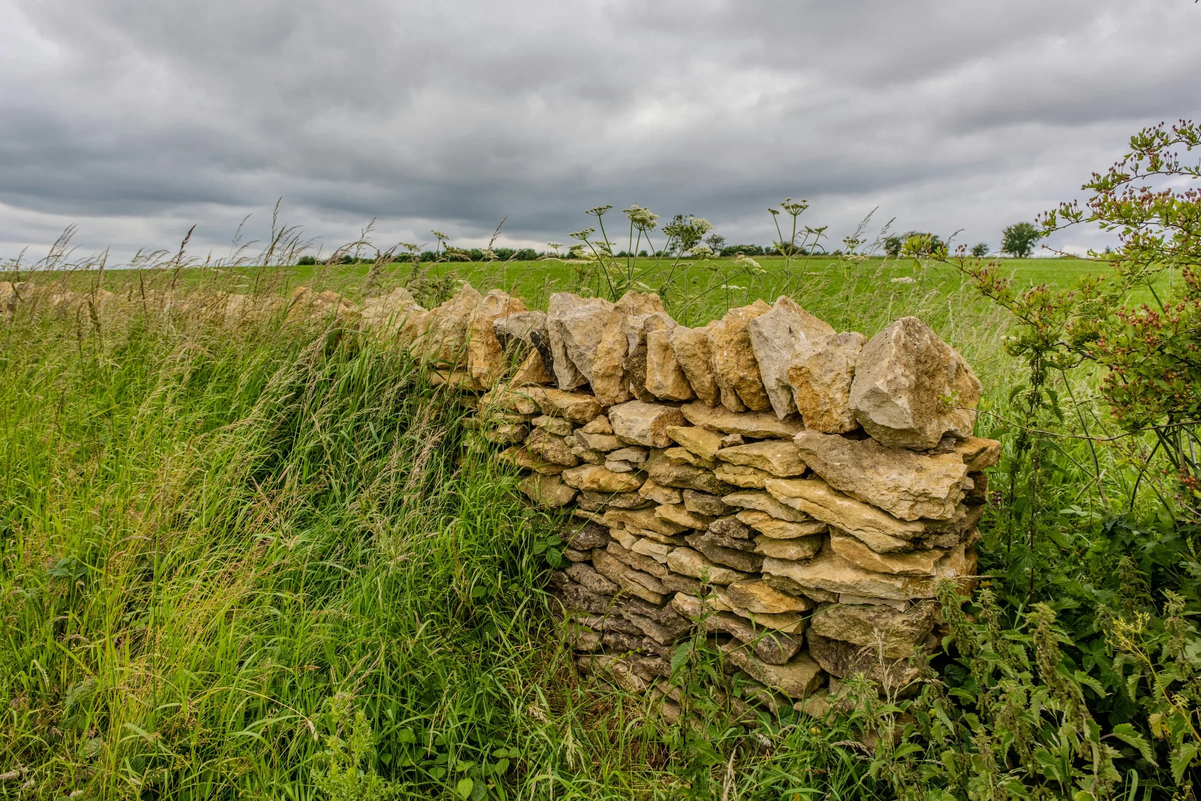 Dry-stone wall, North York Moors