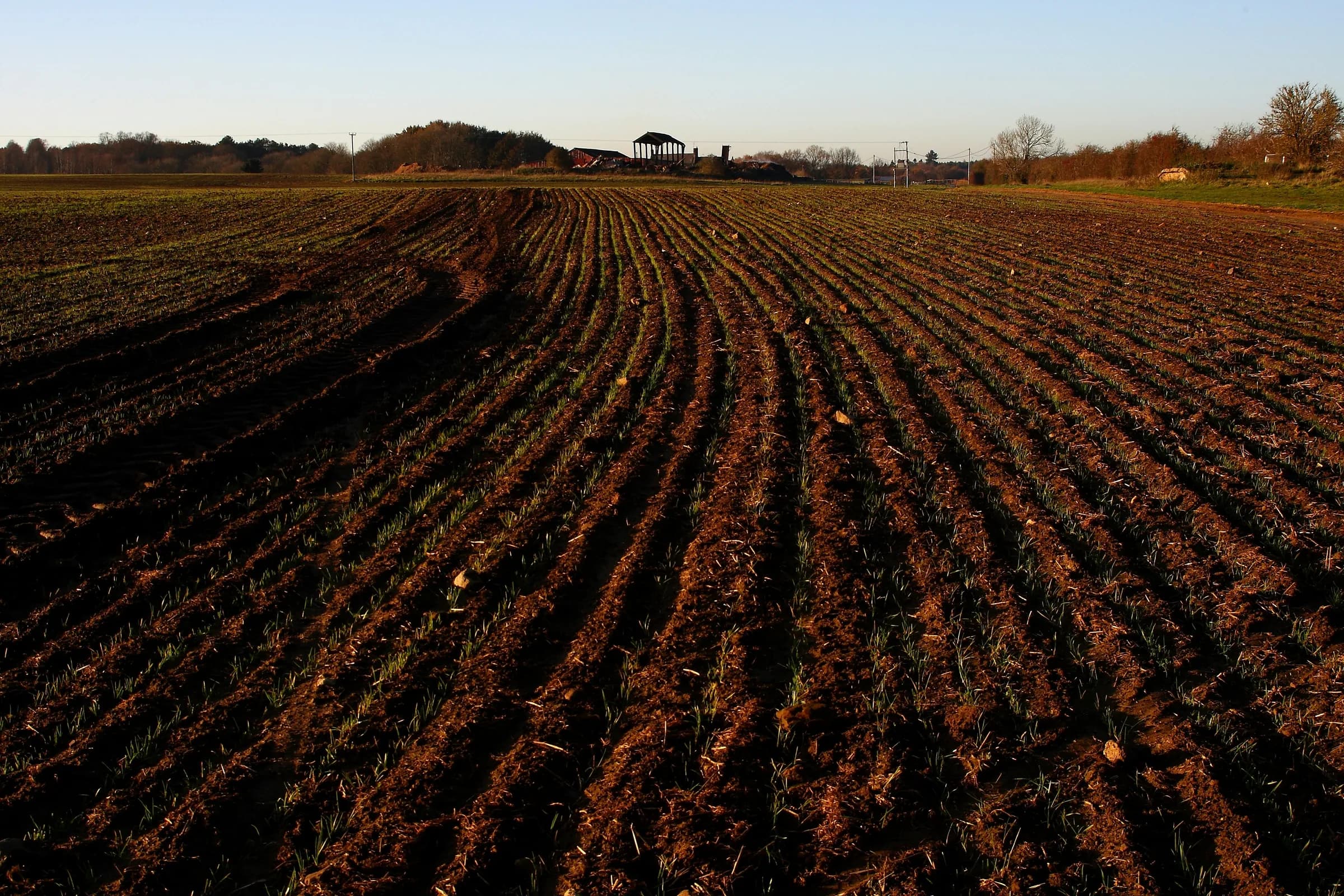 Recently ploughed field